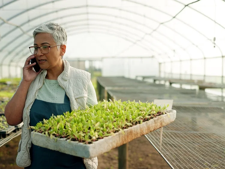 A lady holding indoor-cultured plants on one hand and holding the phone to the ear with the other