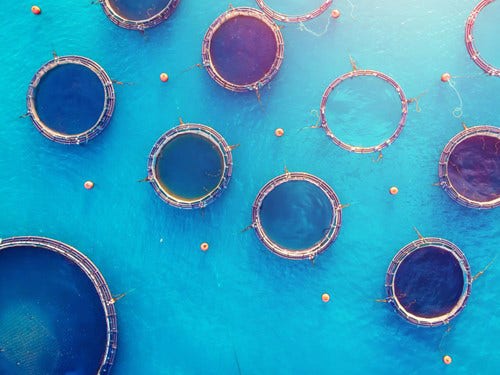 Connected products give a global equipment maker the competitive edge