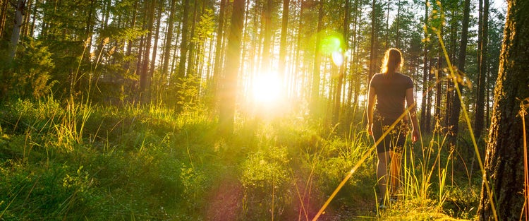 Here’s how to turn climate promises into accountability and action