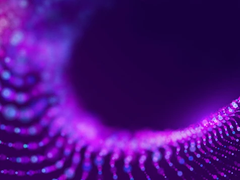 In focus image