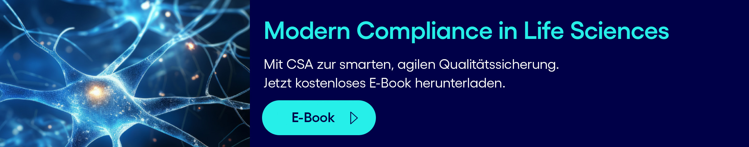 Modern Compliance LS ebook