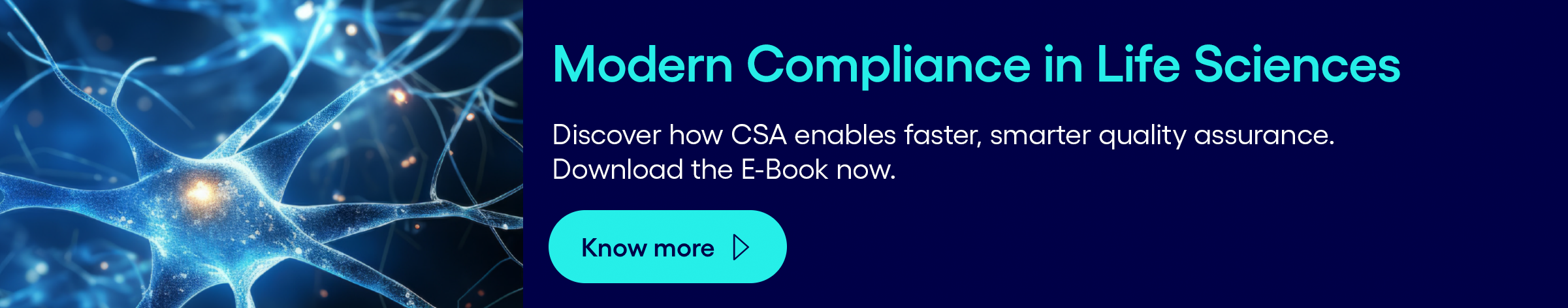 Modern Compliance LS ebook