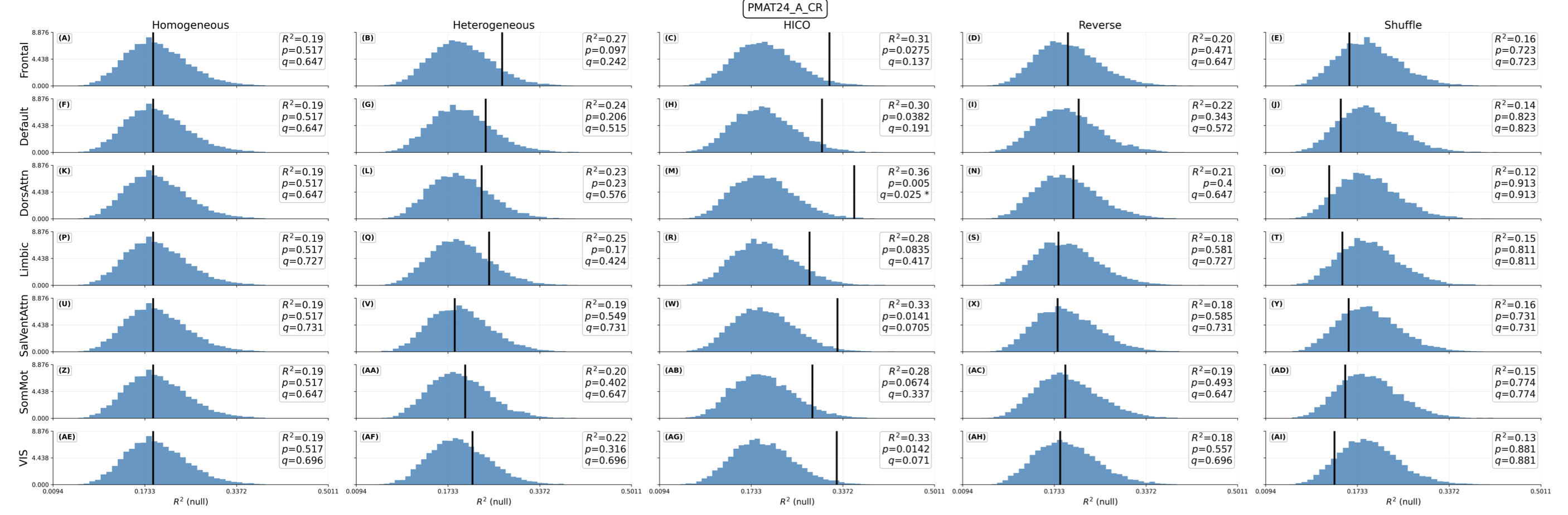 Brain stats repeated