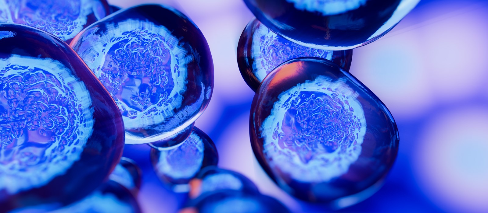 Magnified embryonic stem cells