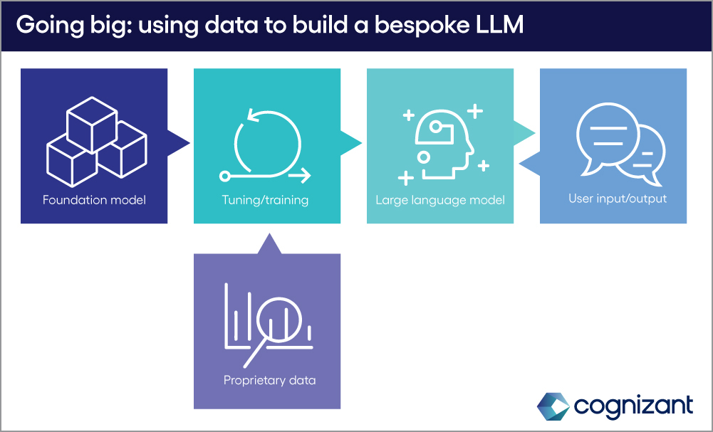 Image explaining the Custom LLM model