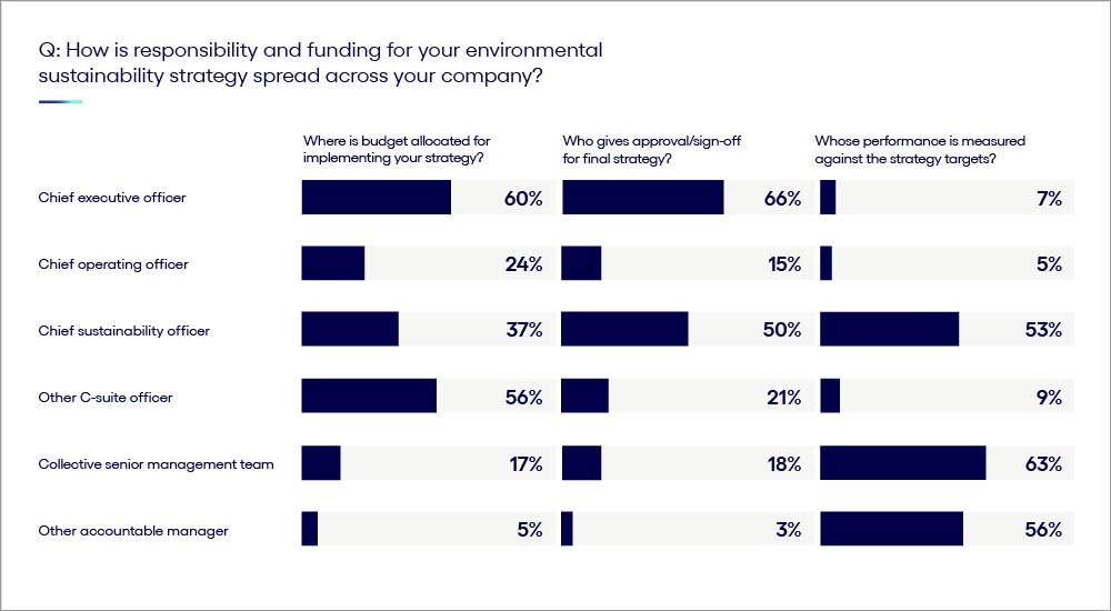 Chart explaining about who is responsible for sustainability budgeting, strategies, and accountability.