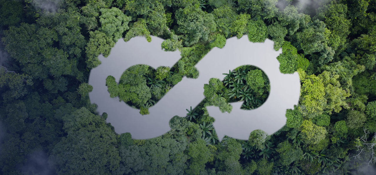 so many trees with s symbol at the top of it
