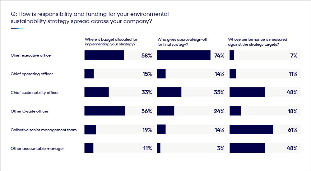 Who is responsible for sustainability budgeting, strategies, and accountability chart.