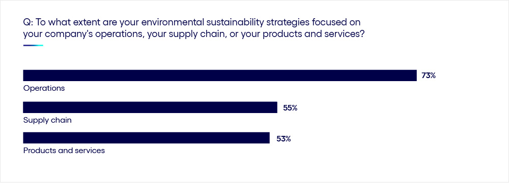 Environmental sustainability strategy focus chart