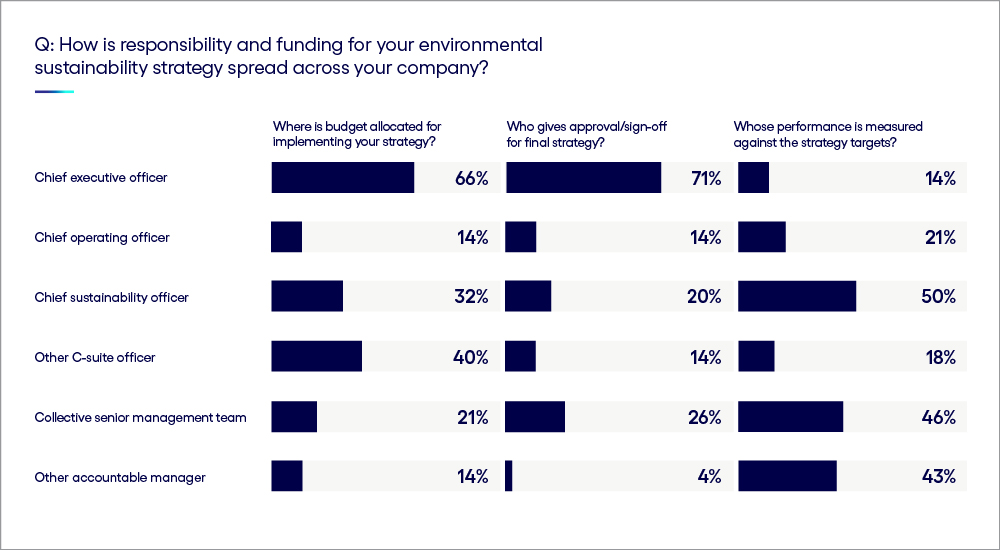 Who is responsible for sustainability budgeting, strategies, and accountability