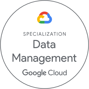 Google Cloud data management