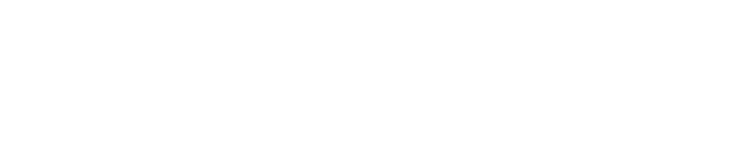 SSON-logo