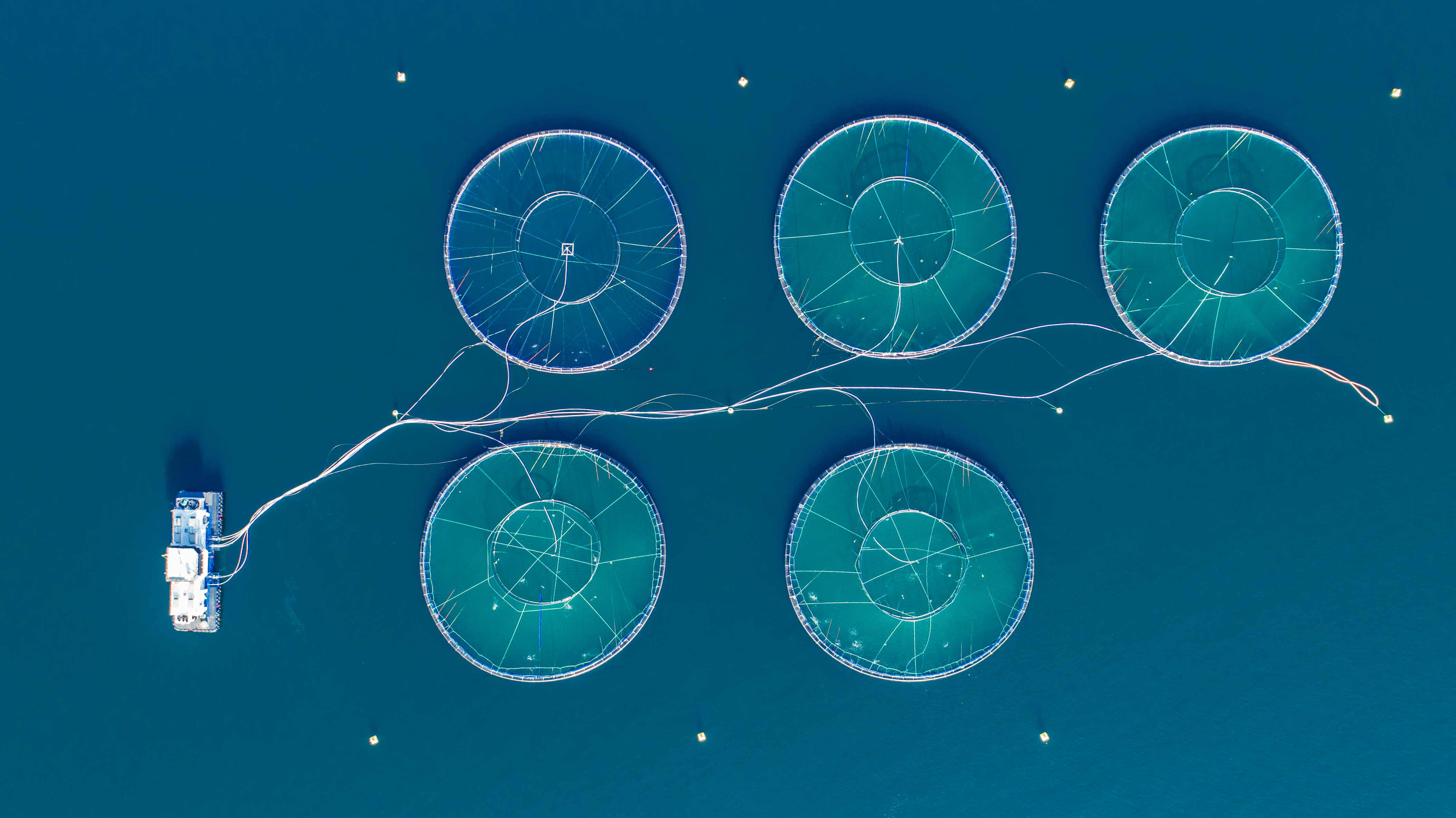 Salmon fish farm. Hordaland, Norway.; Shutterstock ID 703043050; purchase_order: -; job: -; client: -; other: -