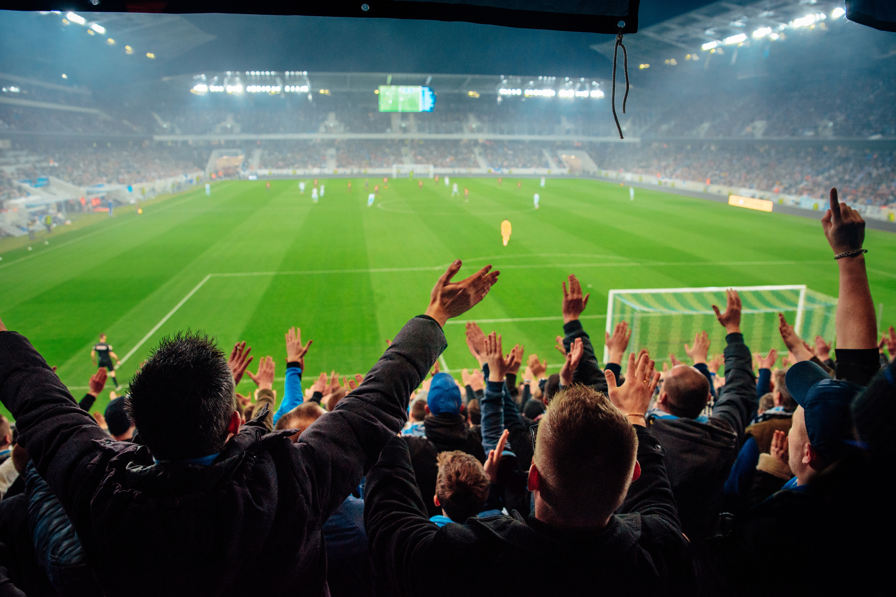 fans in stadium