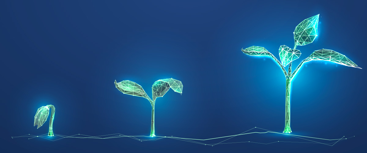 digital plant growth stages