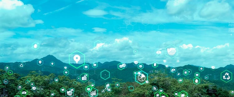 Moving beyond carbon tunnel vision with a sustainability data strategy