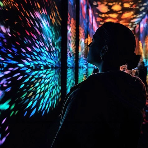 A woman's profile in silhouette looking at a digital disply.