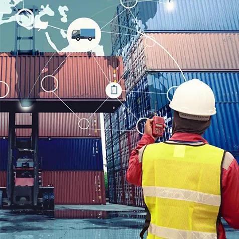 person looking at shipping containers