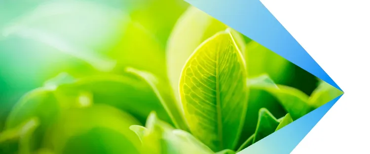 Vertical farming preps for an economic blow