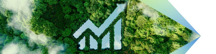 Standard TTW blog banner