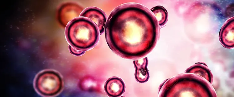 Cell and gene therapy flips life sciences manufacturing on its head