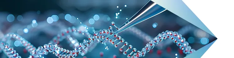 An DNA like structure