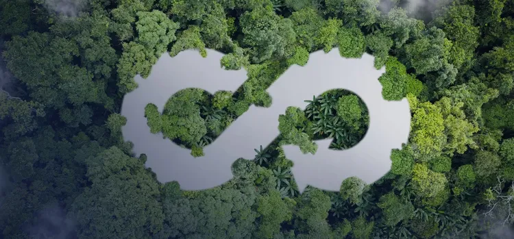 so many trees with s symbol at the top of it