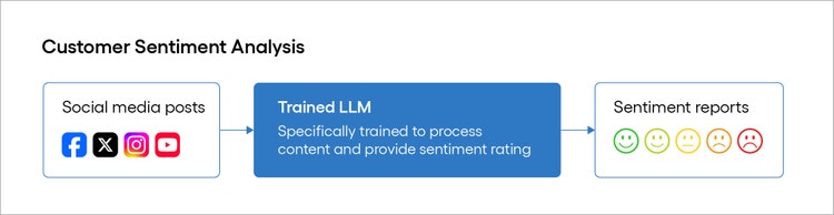 Customer sentiment analysis
