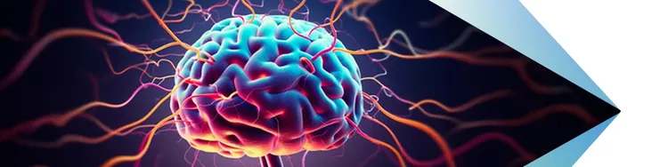 a brain with neural networks