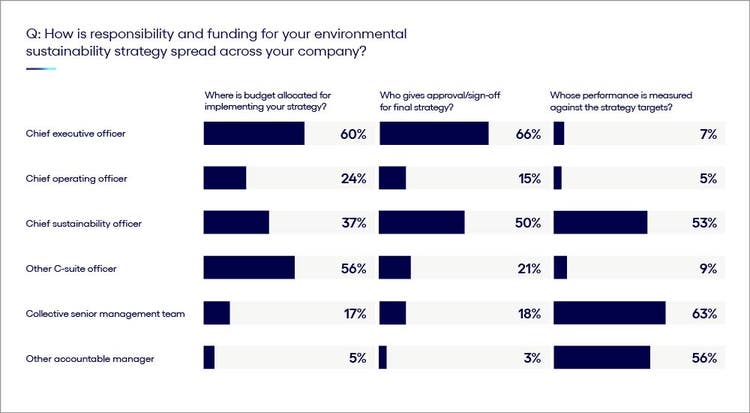 Chart explaining about who is responsible for sustainability budgeting, strategies, and accountability.
