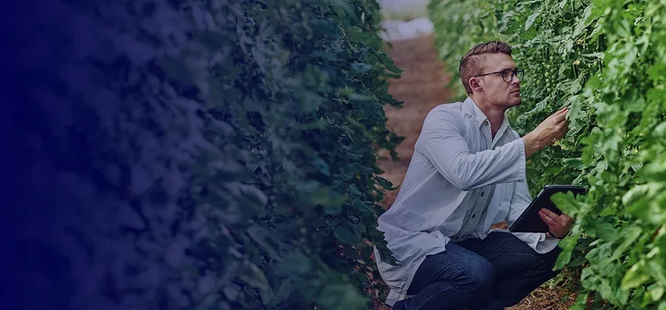 A researcher in a lab coat checking out plants
