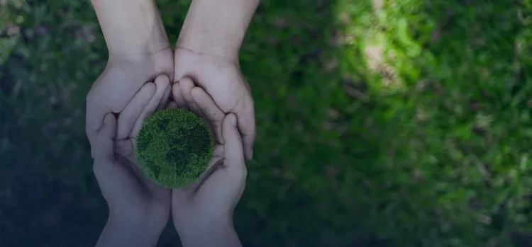 Here’s how insurers can change with the times in the net zero era