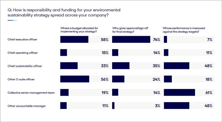 Who is responsible for sustainability budgeting, strategies, and accountability chart.