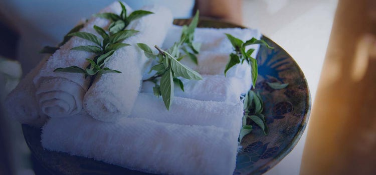 Some clothes are rolled and placed in a plate and leaves are garnished on clothes.