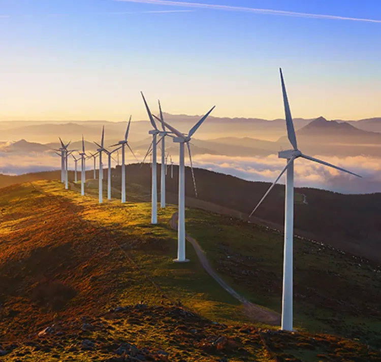 Row of windmills during sunrise.