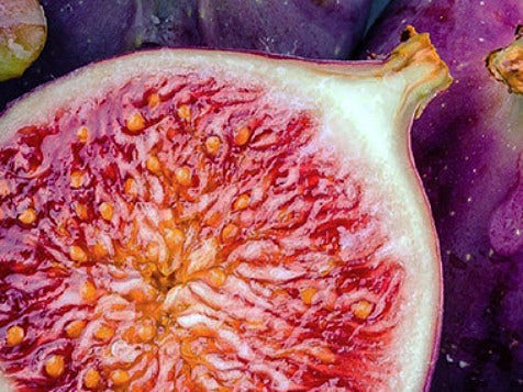 Half a fig with the cut side facing up