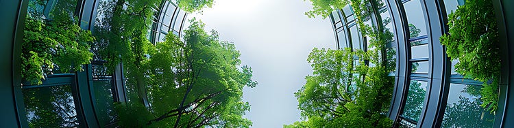 Looking up to towers surrounded by trees