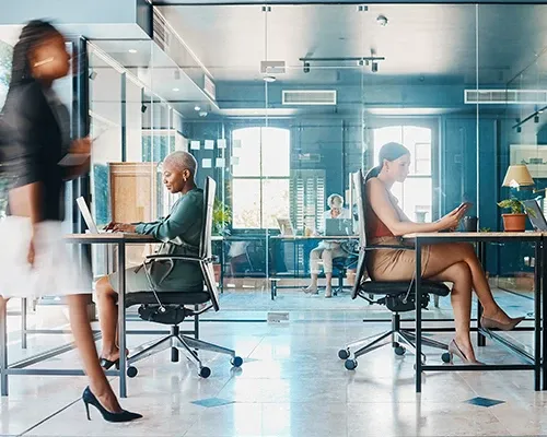 Human Rights Campaign Foundation, 100 on the Corporate Equity Index