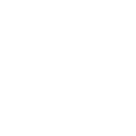 Safety and trust icon